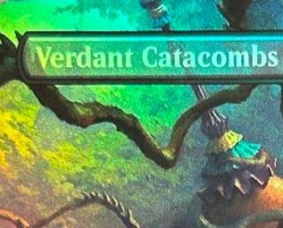 포일 아리드 메사 마쉬 플랫스 미스티 레인포레스트 스캘 - Board Game Verdant 리뷰 및 가격